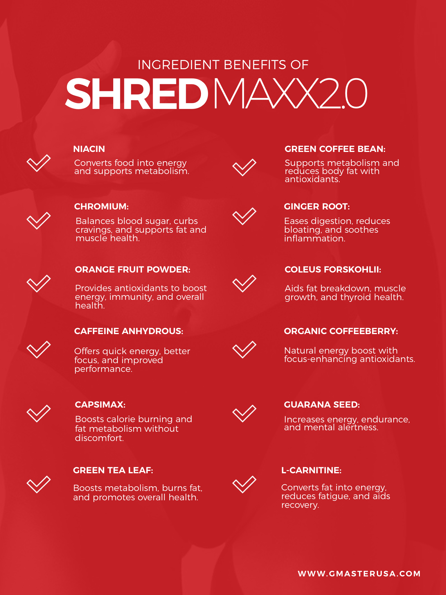 SHRED MAXX 2.0